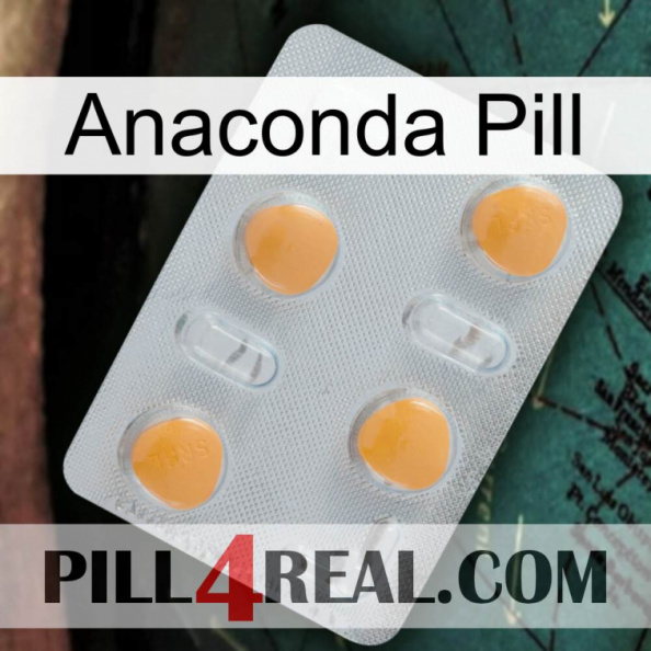 Anaconda Pill 24.jpg